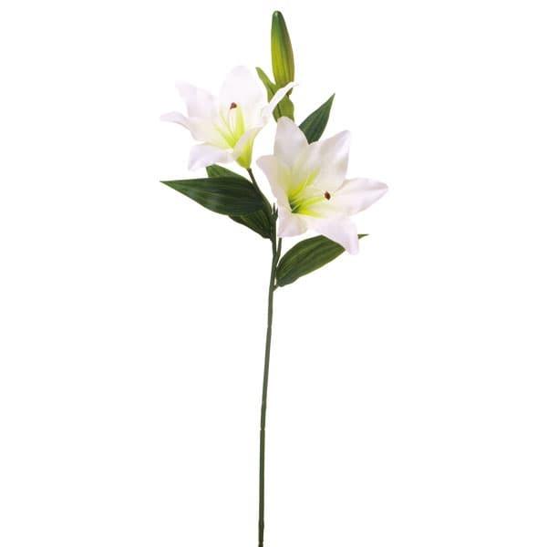 y|Cg5{ 11/03 09:59z  Ƃ悹i JTuJx2 N[ S   A[eBtBVt[ CeA ԍ Ԏ roH|