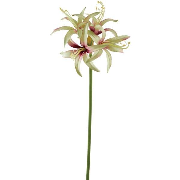 y|Cg5{ 11/03 09:59z  Ƃ悹i [K[ O[[u S   A[eBtBVt[ CeA ԍ roH|