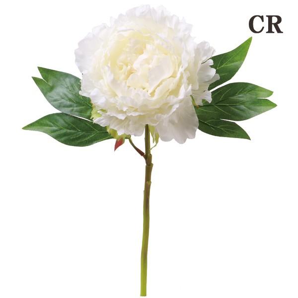  Ƃ悹i sIj[V[gXe {^ O VNN 䉖 CeA CeAt[ VNt[ roH|