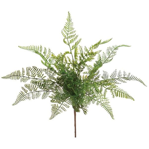 造花 グリーン とりよせ品 Viva アスパラガスファーンブッシュ インテリア フェイク グリーン パーツ インテリアフラワー 花材 素材 Viv Veg 5476 造花ドライフラワー専門問屋花びし 通販 Yahoo ショッピング