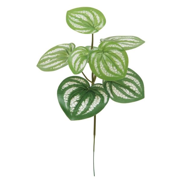 【商品仕様】(素材)全長31cm　葉長5〜8cm（ポリエステル・ポリエチレン・ワイヤー）( allp5 ) 観葉植物 壁面緑化 ウォールグリーン 斑入り インテリア フェイク パーツ インテリアフラワー フェイクフラワー シルクフラワー イ...