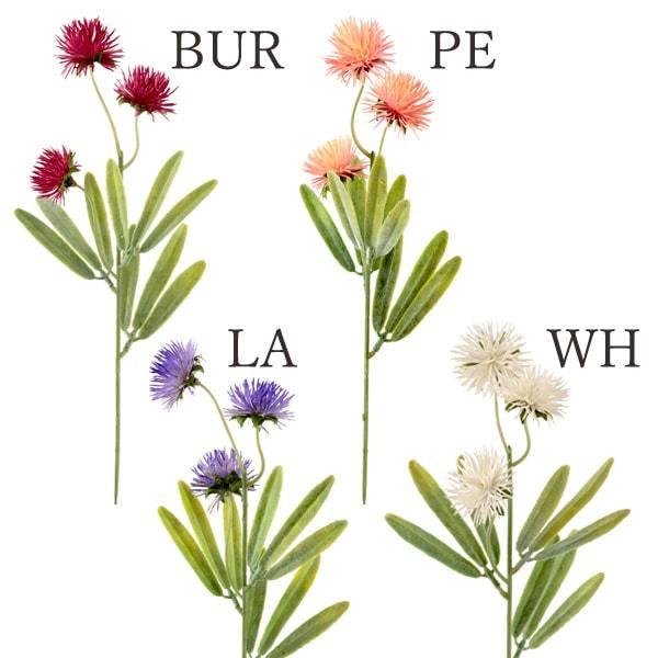 y|Cg5{ 11/03 09:59z  Ƃ悹i ~jAU~sbN A[eBtBVt[  CeA CeAt[ O[ roH|