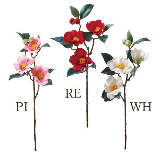   Ƃ悹i NEWcoLu` a coL JA CeA CeAt[ tFCNt[ VNt[ A[gt[ roH|