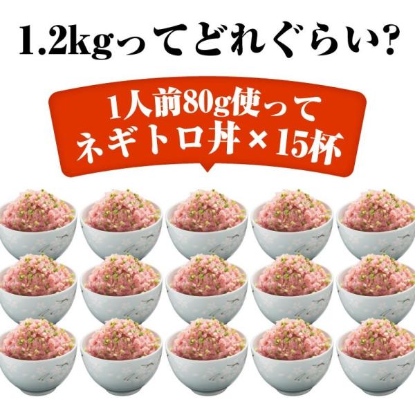 lMg ˂Ƃ i 1.2kg(300g~4pbNjlMg ˂Ƃ  ܂ }O CN 芪i R͊ i摜3