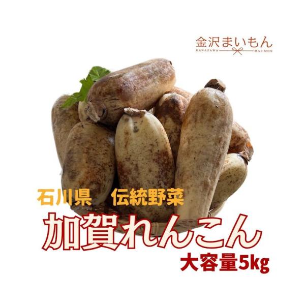 商品情報名称 加賀れんこん内容量 約5kg原材料 れんこん【加賀れんこん】配送方法 ヤマト運輸の常温便にてお送りいたします。こちらの商品は送料無料ですが、北海道・沖縄・九州・離島のお届けには送料を別途+750円頂戴しております。ご了承くださ...