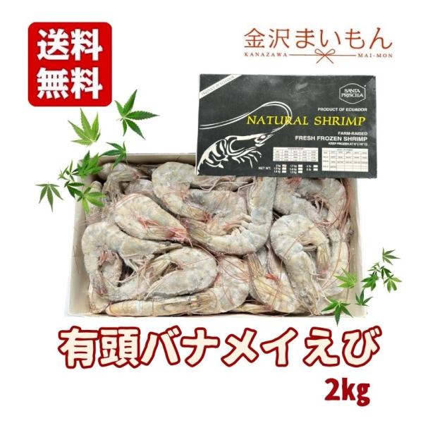 【商品情報】名称：加熱用 有頭バナメイ海老内容量：約2ｋｇ原材料：バナメイ海老（エクアドル産)、亜硫酸塩(酸化防止剤)　配送方法：ヤマト運輸クール冷凍便にてお届け保存方法：要冷凍(-18度以下で保存して下さい。)消費期限：冷凍庫で約1ヶ月【...