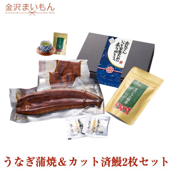 ̓ Mtg Ȃ Y TCYYȂ1{JbgωV2Zbg