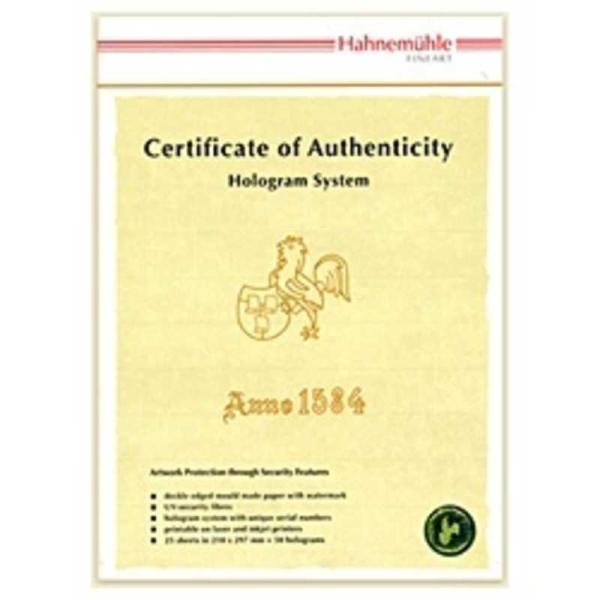 三菱 ハーネミューレ 作品証明書ホログラムシステム Certificate 三菱 ハーネミューレ 作品証明書ホログラムシステム Certificate