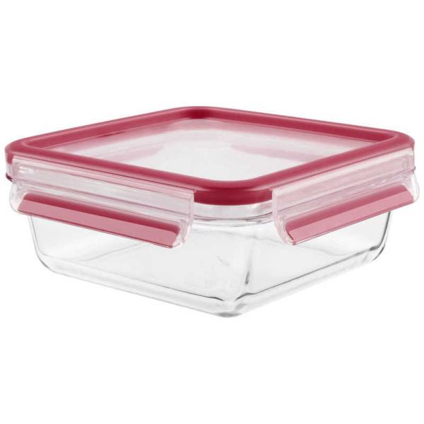 T-fal@ۑe }X^[V[OX XNGA 800ml [800ml]@N10414