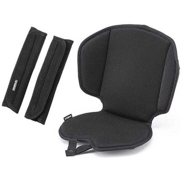 [Release date: January 23, 2025]