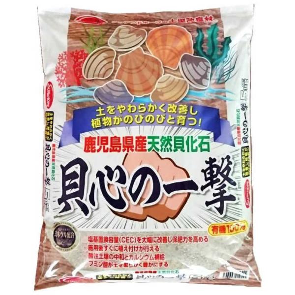 サンアンドホープ　天然貝化石 貝心の一撃 5kg　テンネンカイカセキカイシンノイチゲキ