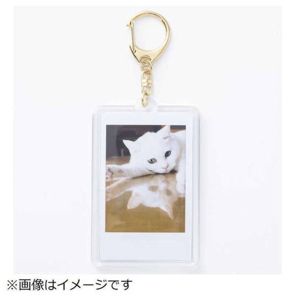 xmtC@FUJIFILM@tHgL[z_[ `FL S[h@tHgL[tH_[`FLS[h