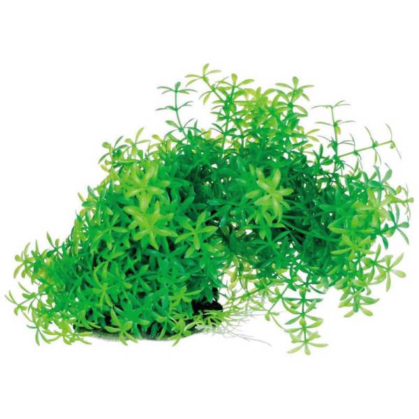 [Release date: March 8, 2019]アクアリウム 水槽 観賞魚 水生生物 アクアリウム用品 水槽用品 ペット ペット用品 人工水草 コジマ コジマ電気 家電