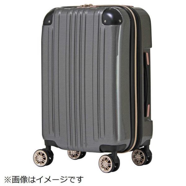 スーツケース キャリーケース 4562131656977の人気商品・通販・価格 