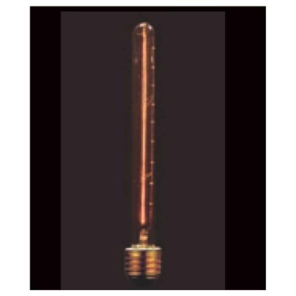 ELPA@Be[Wv(E26)@110V40W T30 F8 E26