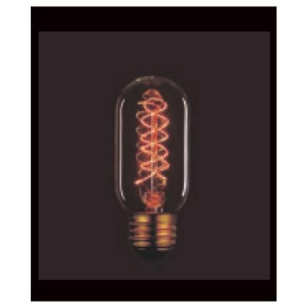 ELPA�@���B���e�[�W�����v(����E26)�@110V40W T45 F5 E26