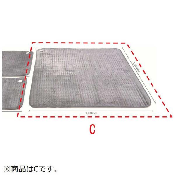 DENBAJAPAN　DENBA Health スタンダード・Charge用 マット C Type　DANBA-H-M-C
