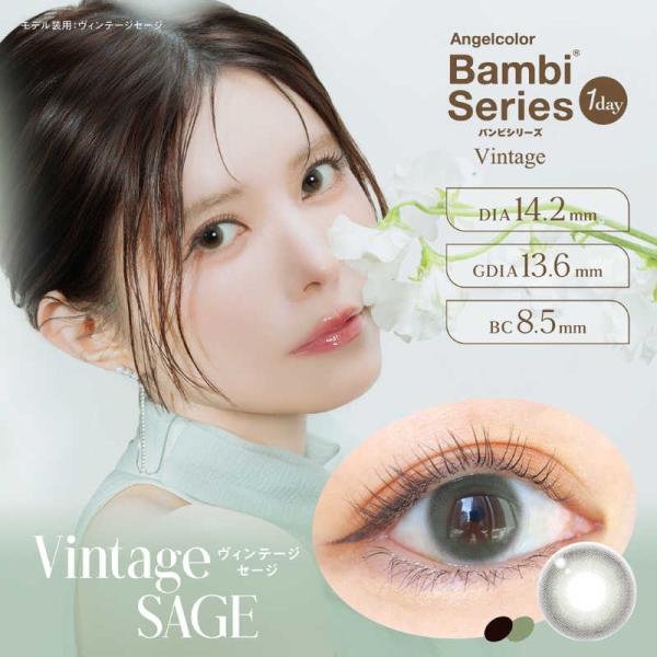 ティーガーデン　(度あり/-8.00) エンジェルカラーバンビシリーズ ヴィンテージセージ (BC8.5/DIA14.2) 10枚入 カラコン　
