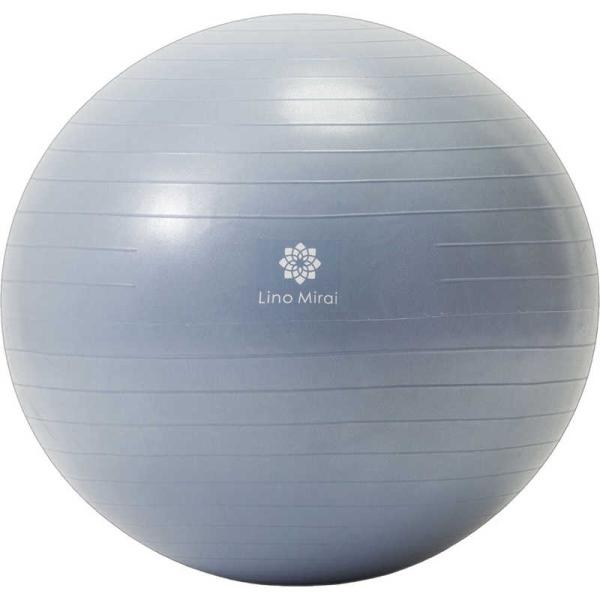 リノミライ　バランスボール 65cm ペールグレー　LMS91NH032PGY