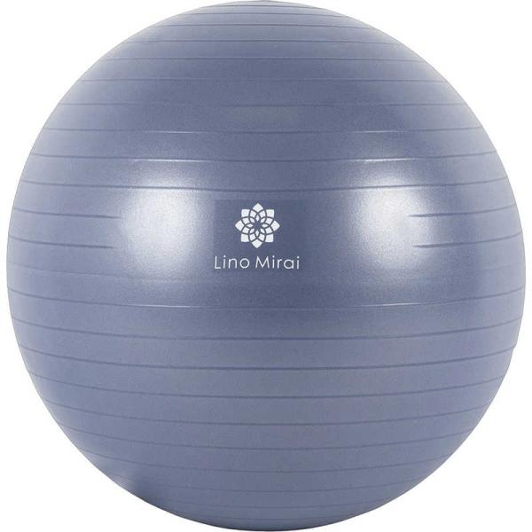 リーボック　バランスボール65cm リノミライ　LMS02NH032IBL