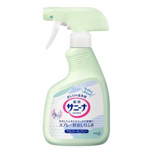 他サイト： 花王　サニーナ 薬用スプレー状 おしりふき 業務用 400ml　の商品画像