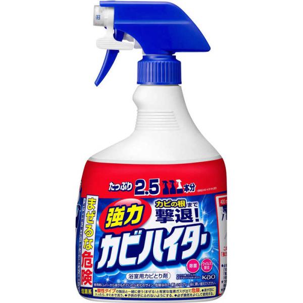 他サイト： 花王　強力 カビハイター ハンディスプレー 特大 1000ml　の商品画像