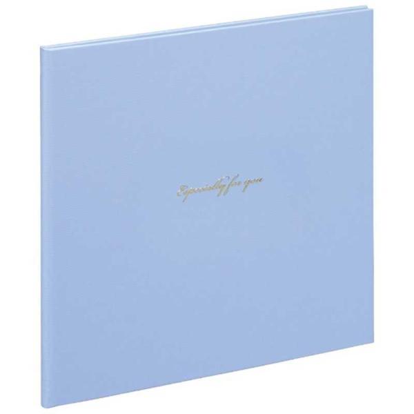 �i�J�o���V�@�ʐ^�䎆 �X�N�G�A 2L�� 2��(�u���[)�@VM2L-301-B