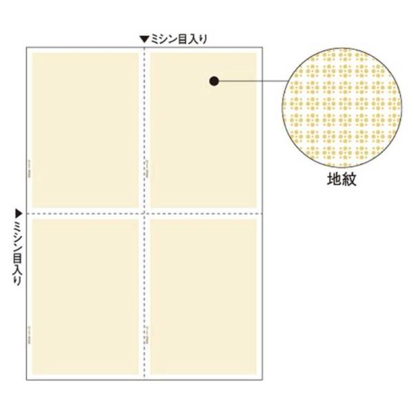 [Release date: February 6, 2009]kojima　コジマヤフー　コジマ電気