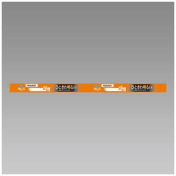 z^NX@3g`ǌuv ЂƂ햾邢Ȍ [dF]@FL15EX-L-X2