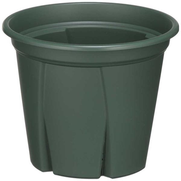 他サイト： アップルウェアー　根っこつよし 7号 グリーン　ネッコツヨシ7ゴウの商品画像