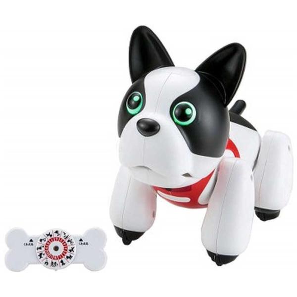 CCP@񂿂ȎqhD[L[@`iRCkhD[L[