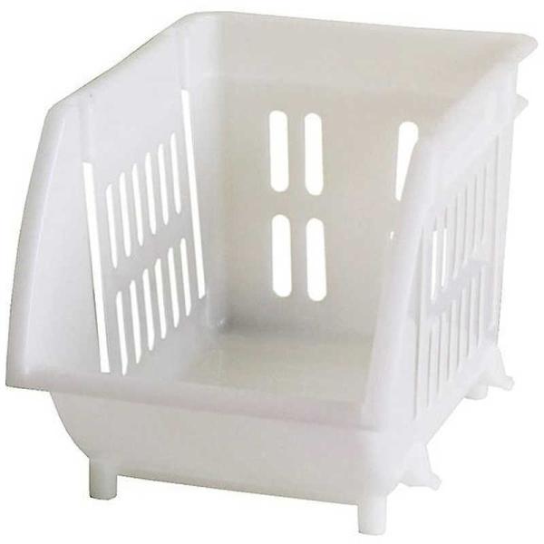 [Release date: January 20, 2025]