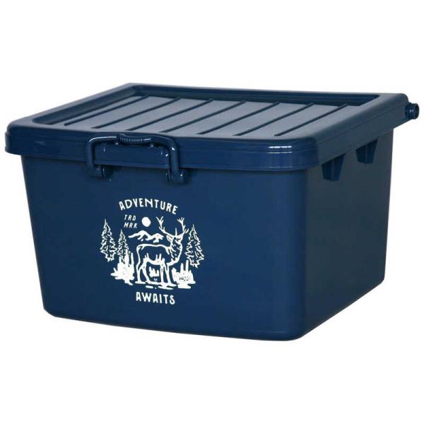 [Release date: January 20, 2025]