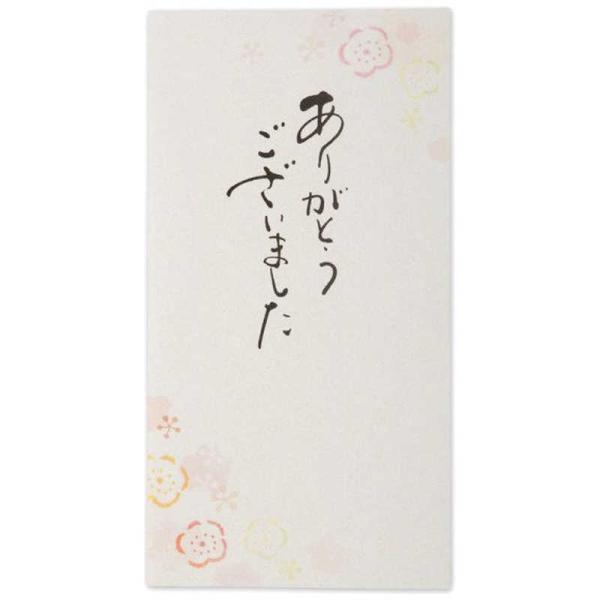 エヌビー社　筆文字 のし袋 ありがとう　5849101