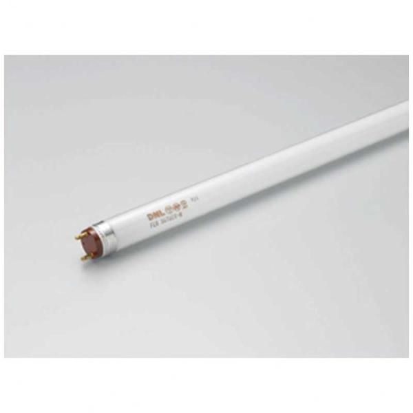 ǌ`u G[XCv(Aceline Lamp) [dF]