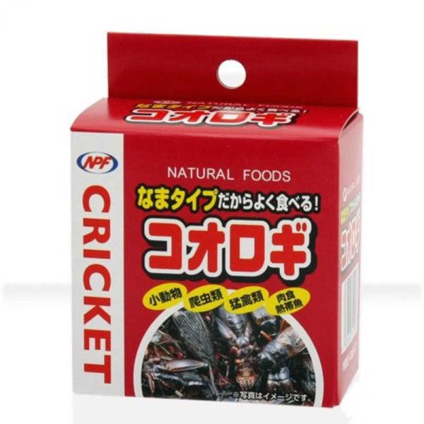 他サイト： ナチュラルペットフーズ　コオロギ コオロギ(缶入り) 40g　の商品画像