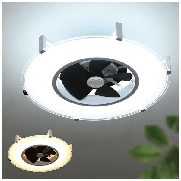 CtIv_Nc@Modern Collection plCgT[L[^[i6400lmj JAVALO ELF [Rt /F`dF]@JE-CF029