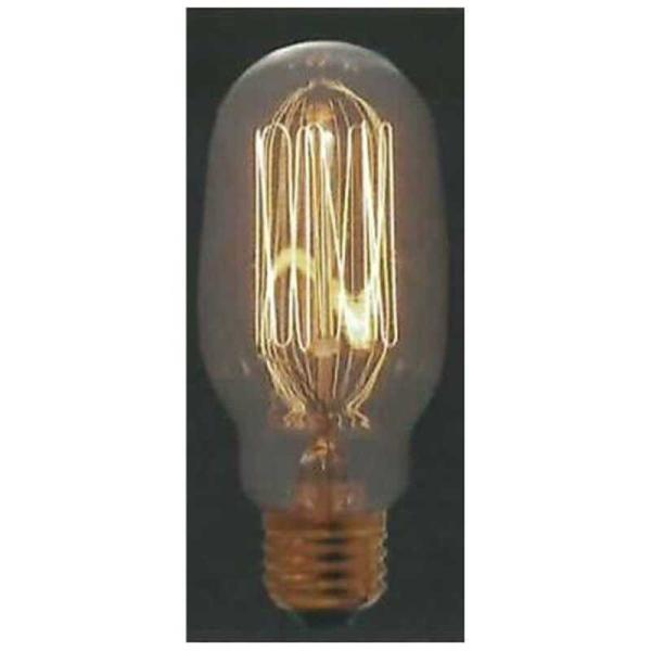 �����d�@�H�Ɓ@���g�������v S60 �N���A E26 ���g�������vS60E26110V40W�@���g�������vS60E26110V40W