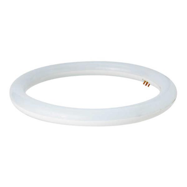 ^@ی`LEDv [F]@AL-CT-14W-TM