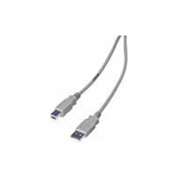 [Release date: January 23, 2015]エプソン プリンターアクセサリー　kojima　コジマヤフー