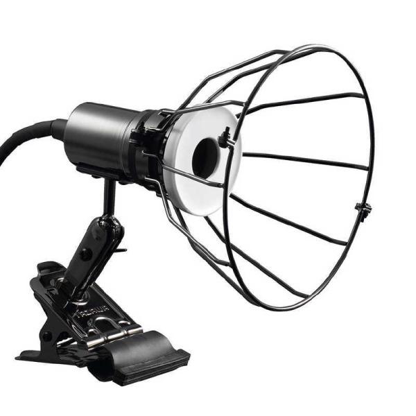 [Release date: September 24, 2018]YAZAWA ヤザワ 照明器具　コジマ電気