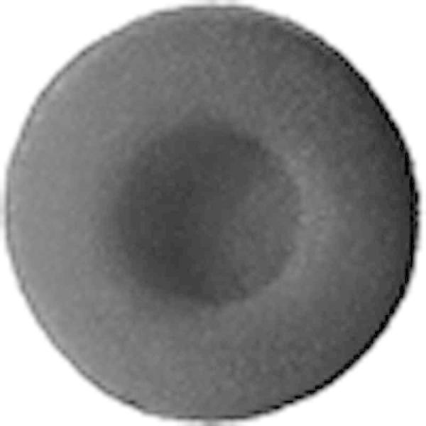 �I�[�f�B�I�e�N�j�J�@�X�y�A�C���p�b�h(4����)�@ER-40 BK