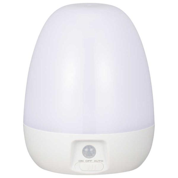 [Release date: December 6, 2022]照明配線 NITBLA6JEWN コジマ コジマ電気 家電