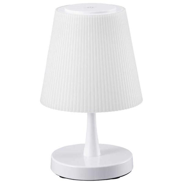 [Release date: February 28, 2019]kojima　コジマヤフー　コジマ電気