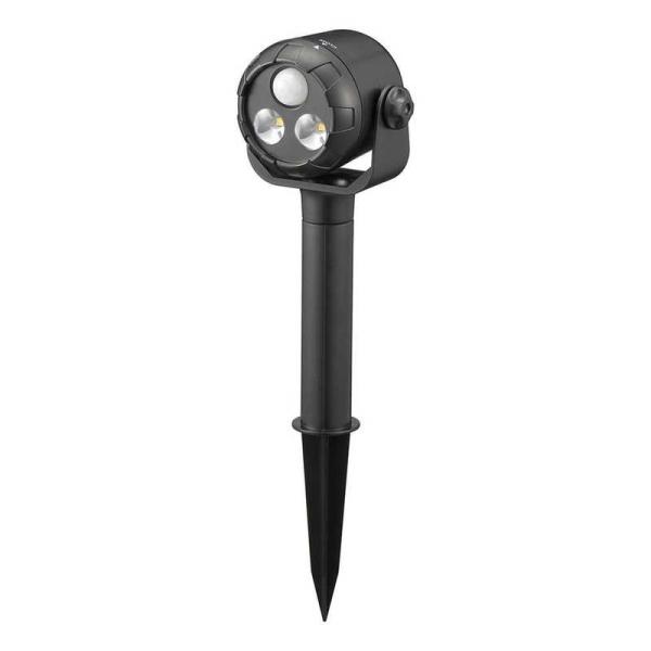 [Release date: March 1, 2024]