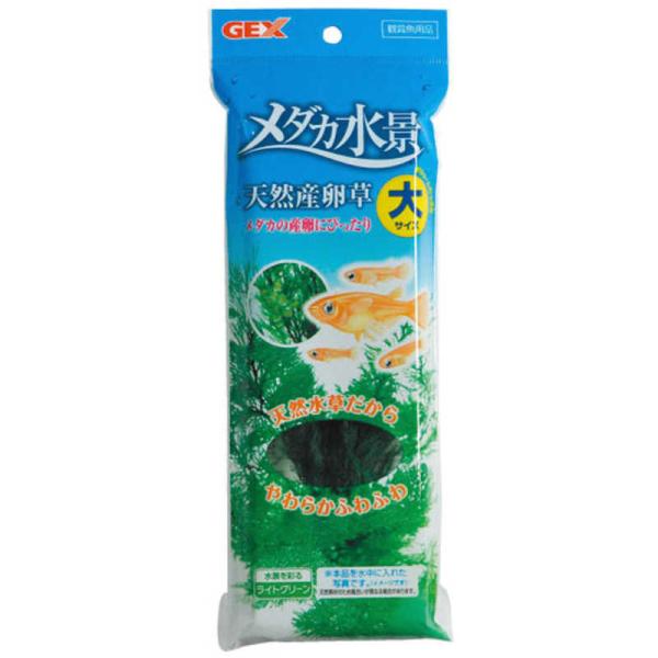 [Release date: March 29, 2019]アクアリウム 水槽 観賞魚 水生生物 アクアリウム用品 水槽用品 ペット ペット用品 産卵床 コジマ コジマ電気 家電