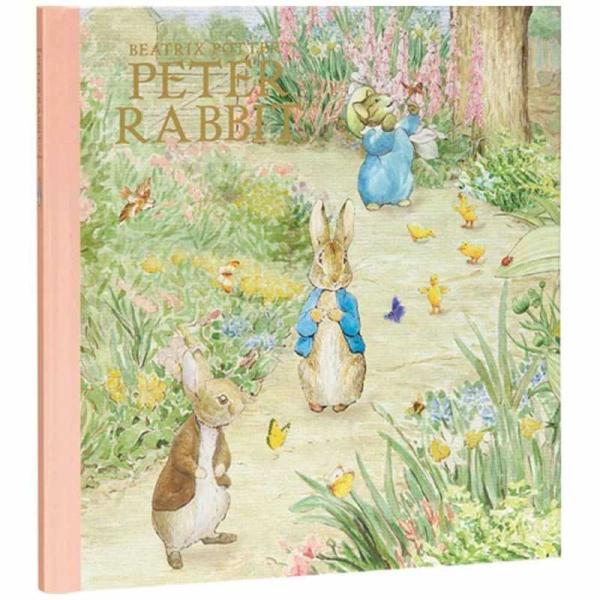 ZLZC@PT-5122 s[^[rbgCgt[Ao ہ@PT5122