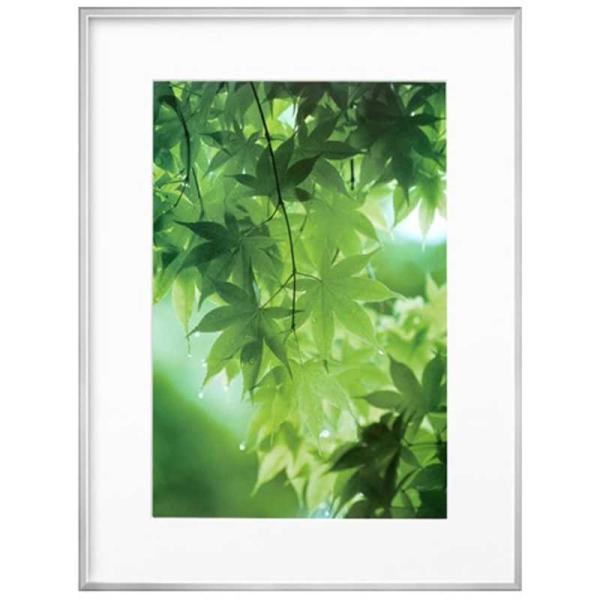 ZEROt[ G-01 A3mr Vo[