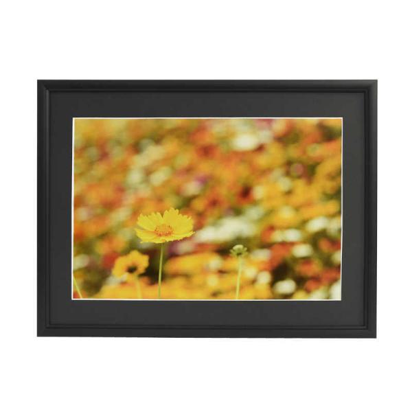 tWJ[@A~z A33 A3mr ubN@A33A3mrubN