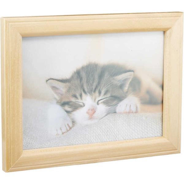 tWJ[@ؐtHgX^h  ʐ^  (LEKGE2Lp/ؒn)@MTK2